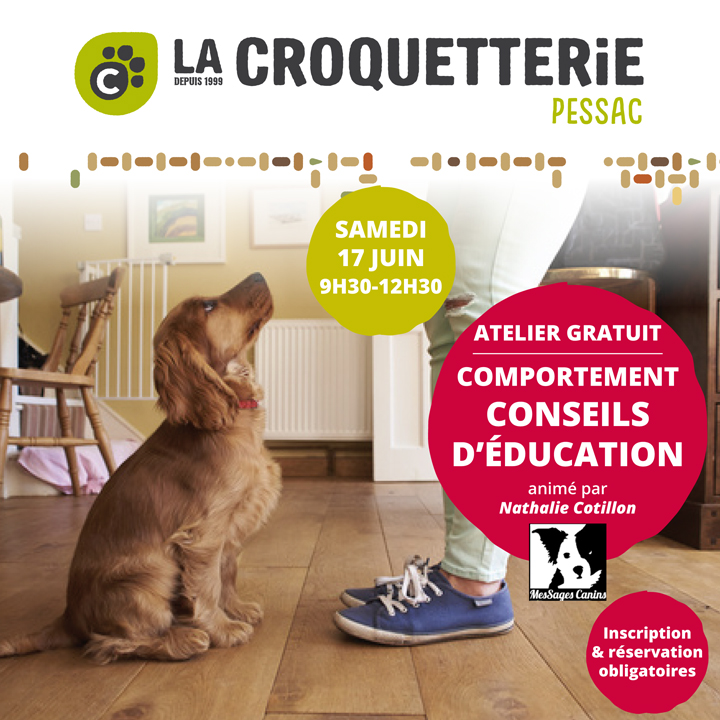 ACTU Magasin LA CROQUETTERIE PESSAC