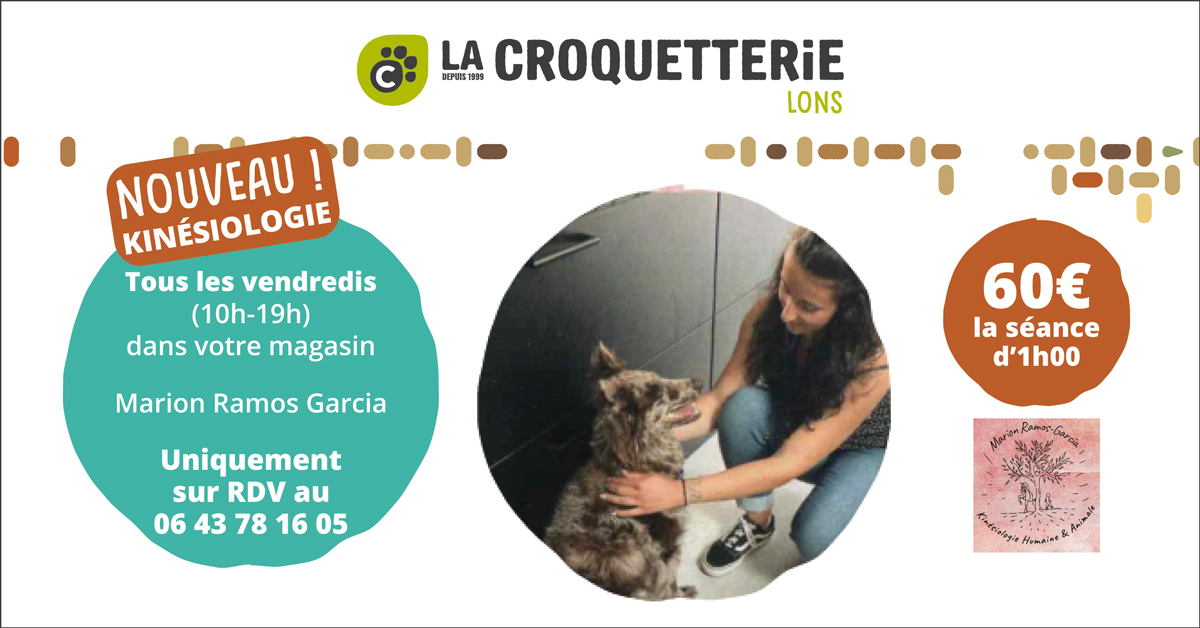 ACTU Magasin LA CROQUETTERIE LONS