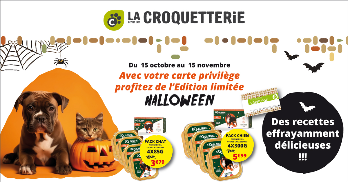 ACTU Magasin LA CROQUETTERIE MÉRIGNAC CHEMIN LONG