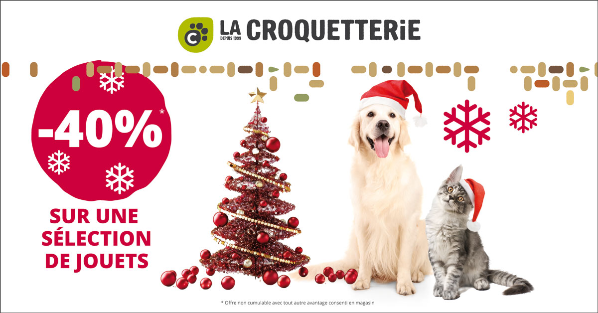 ACTU Magasin LA CROQUETTERIE PESSAC