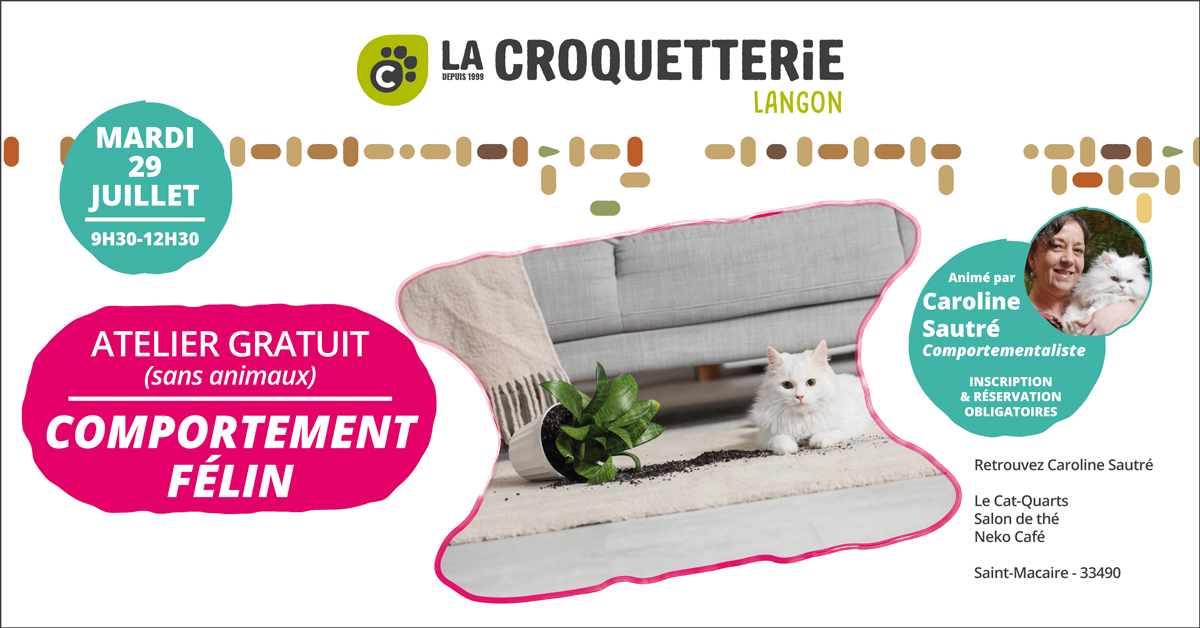 ACTU Magasin LA CROQUETTERIE LANGON