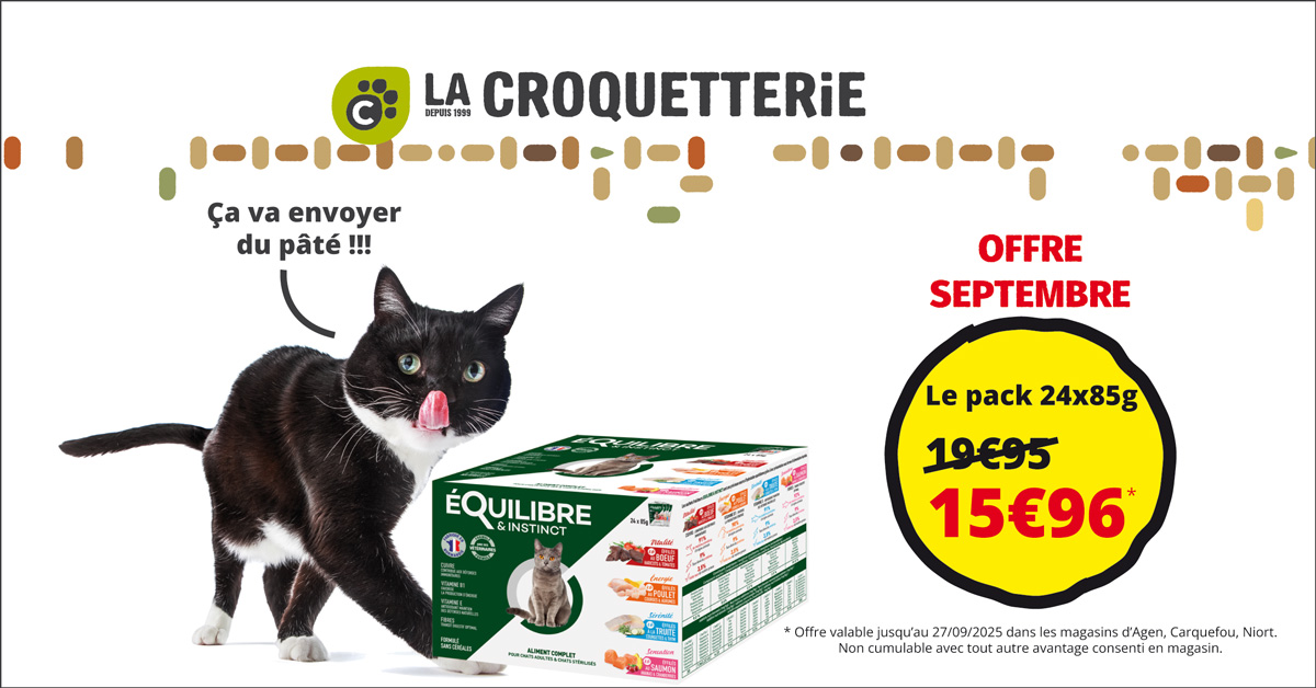 ACTU Magasin LA CROQUETTERIE NIORT