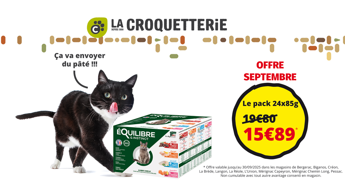 ACTU Magasin LA CROQUETTERIE PESSAC