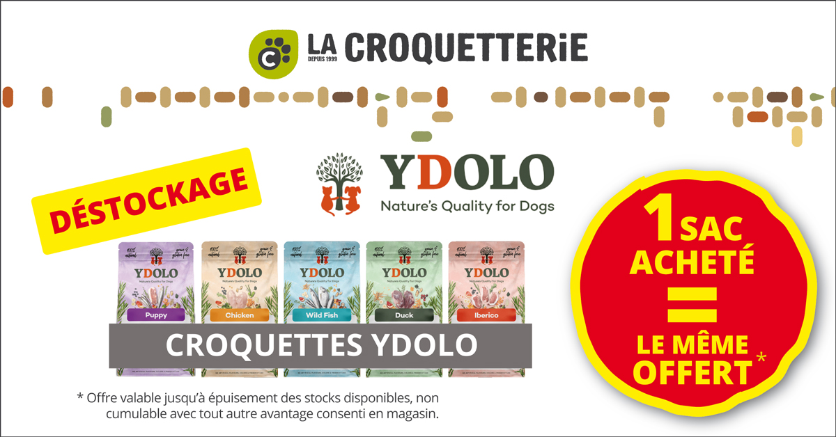 ACTU Magasin LA CROQUETTERIE LANGON
