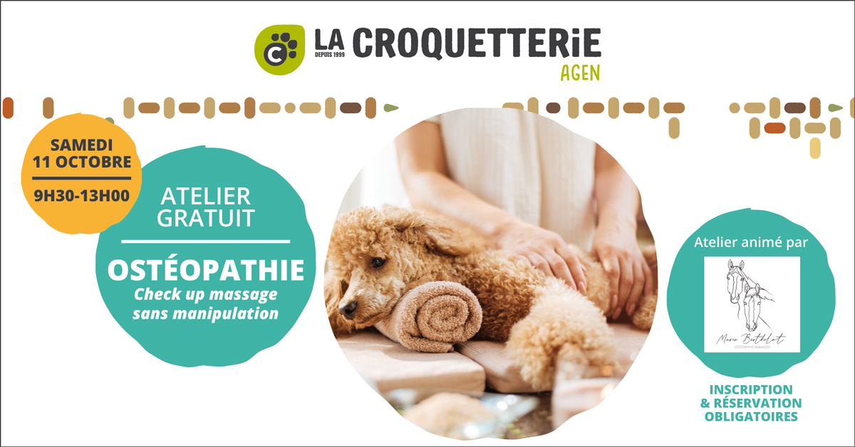 ACTU Magasin LA CROQUETTERIE AGEN
