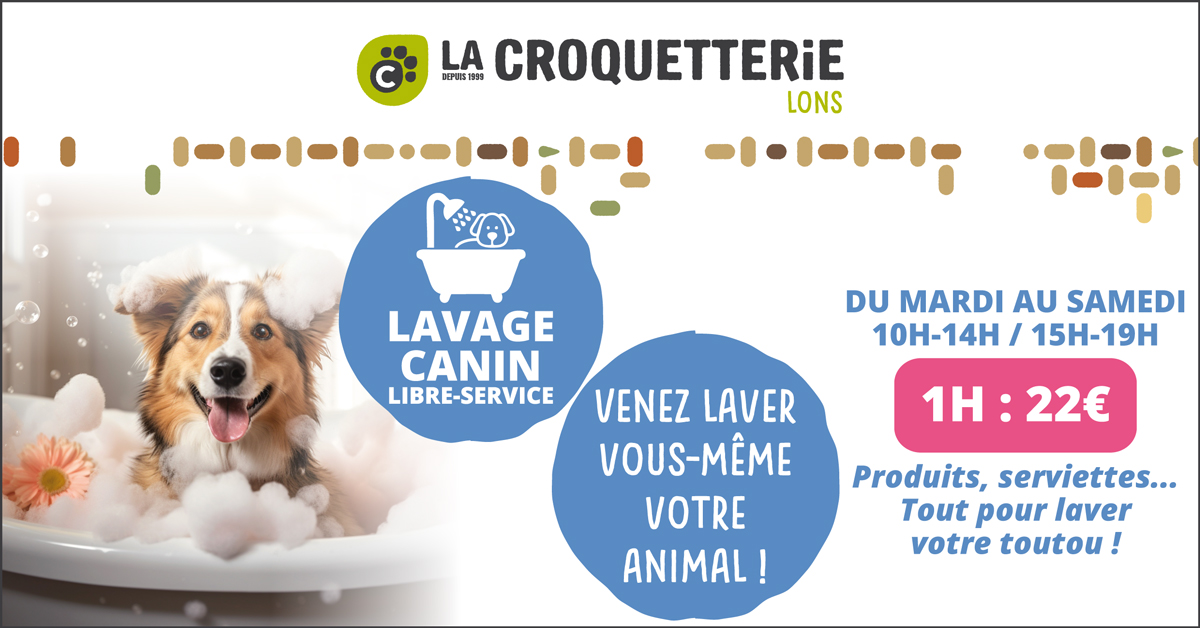 ACTU Magasin LA CROQUETTERIE LONS
