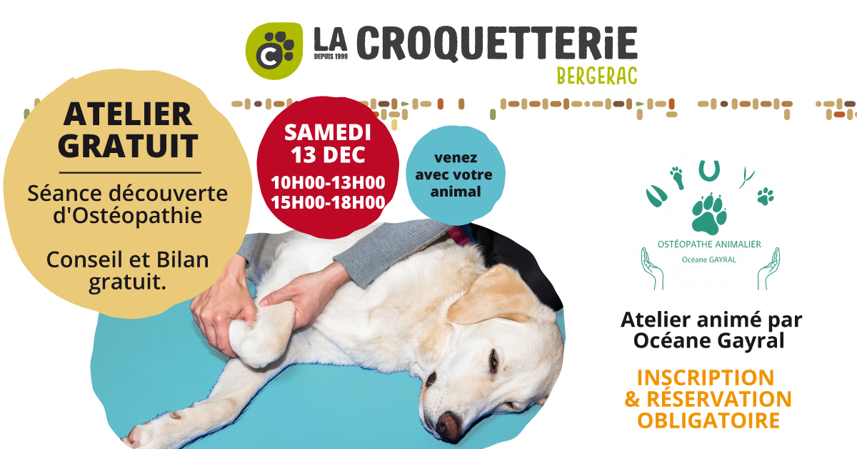 ACTU Magasin LA CROQUETTERIE BERGERAC