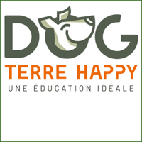 Dog Terre Happy