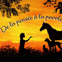 Communication animale