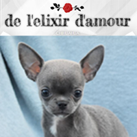 De l'elixir d'amour