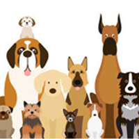 Pension Nono &amp; co