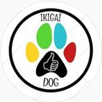 Ikigai Dog