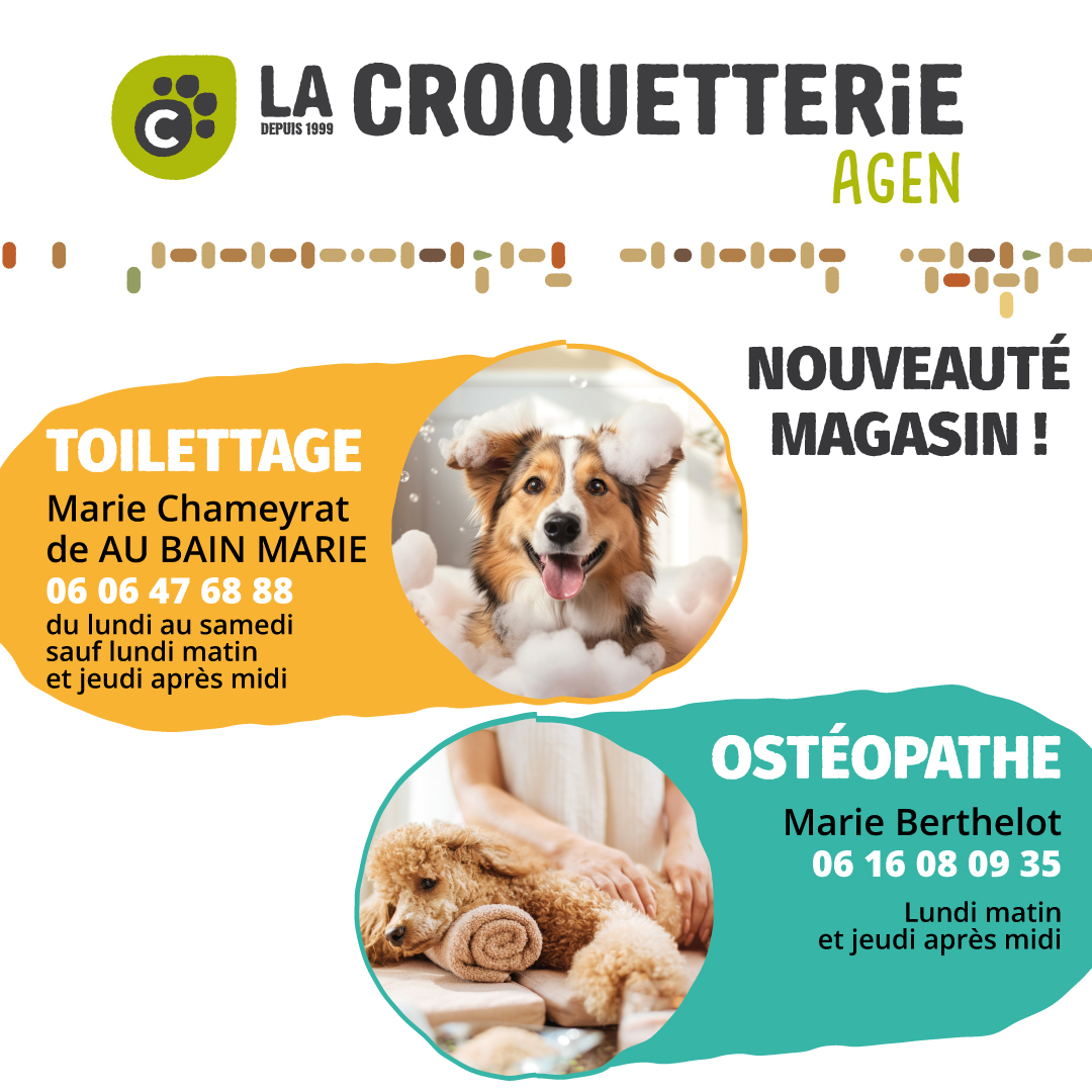 ACTU Magasin LA CROQUETTERIE AGEN