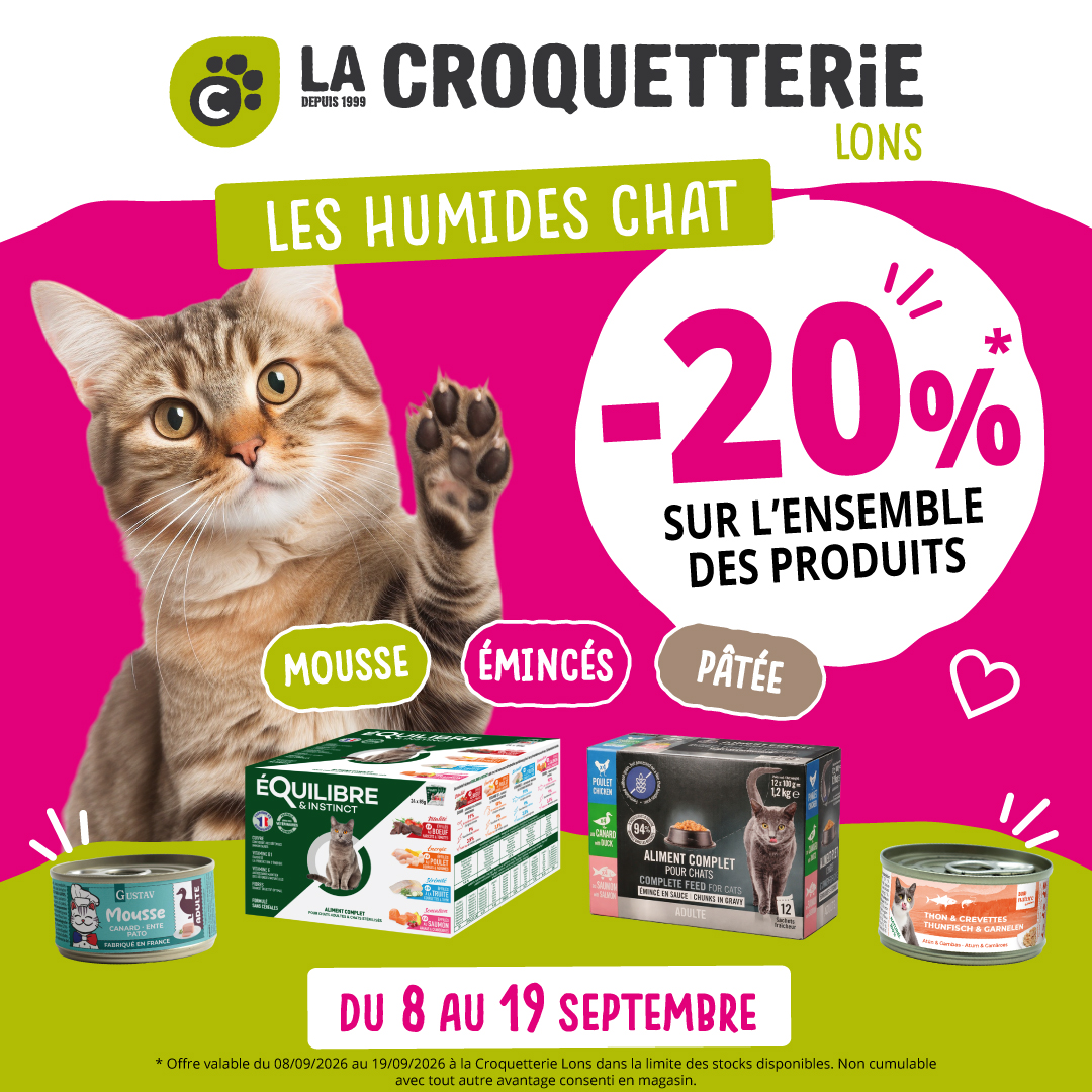 ACTU Magasin LA CROQUETTERIE LONS