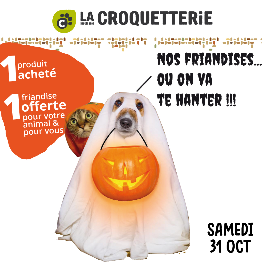 ACTU Magasin LA CROQUETTERIE SAINT HERBLAIN